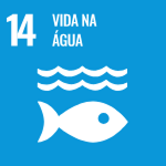 Imagem de destaque da seção